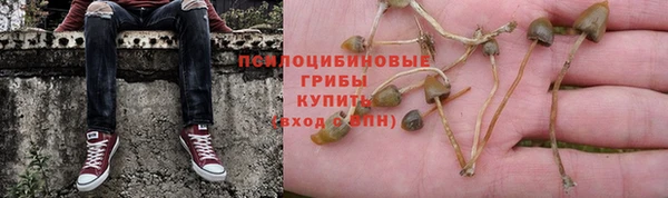 винт Абаза