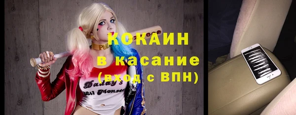 винт Абаза