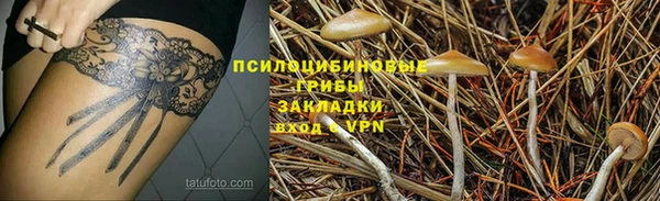 винт Абаза