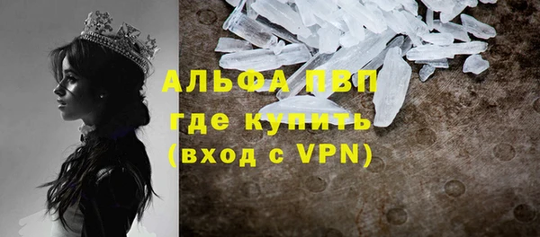 винт Абаза