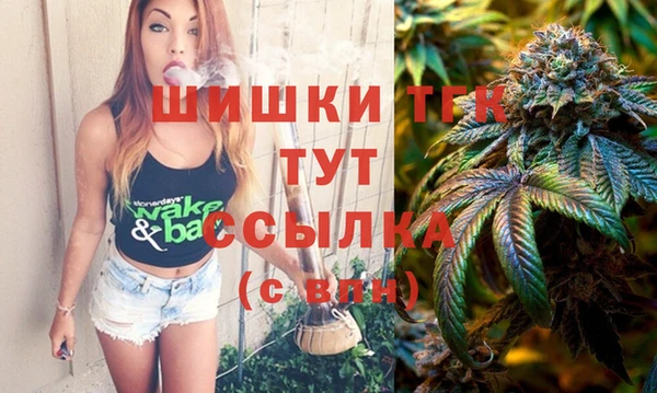 винт Абаза