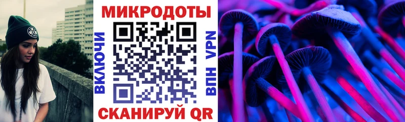 сколько стоит Златоуст Псилоцибиновые грибы GOLDEN TEACHER