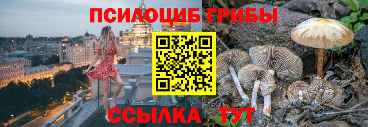 Галлюциногенные грибы Cubensis Златоуст