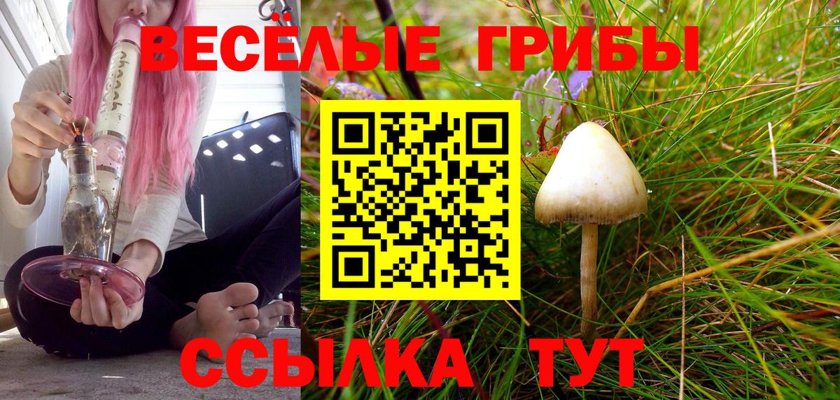 Галлюциногенные грибы GOLDEN TEACHER  Вход с VPN  Златоуст  Галлюциногенные грибы Psilocybe 